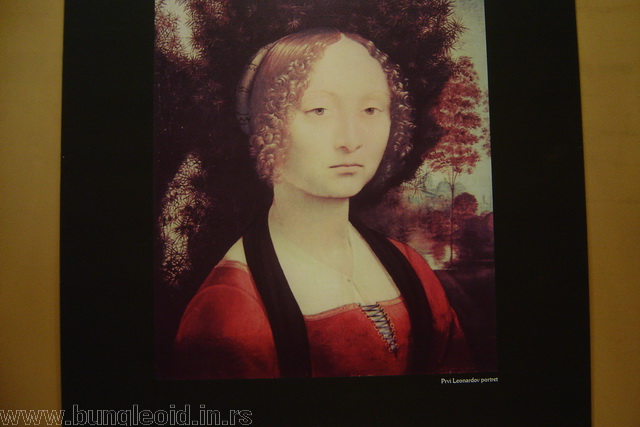 Da Vinci Exhibition, Nis